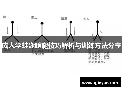 成人学蛙泳蹬腿技巧解析与训练方法分享