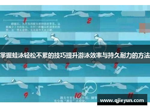 掌握蛙泳轻松不累的技巧提升游泳效率与持久耐力的方法