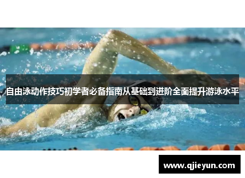 自由泳动作技巧初学者必备指南从基础到进阶全面提升游泳水平