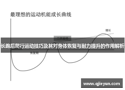 长跑后爬行运动技巧及其对身体恢复与耐力提升的作用解析